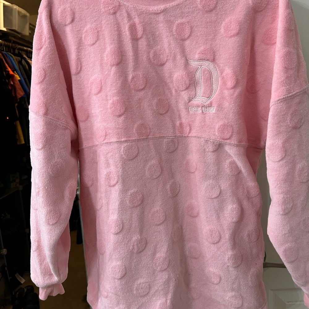 Disneyland resort spirit Jersey